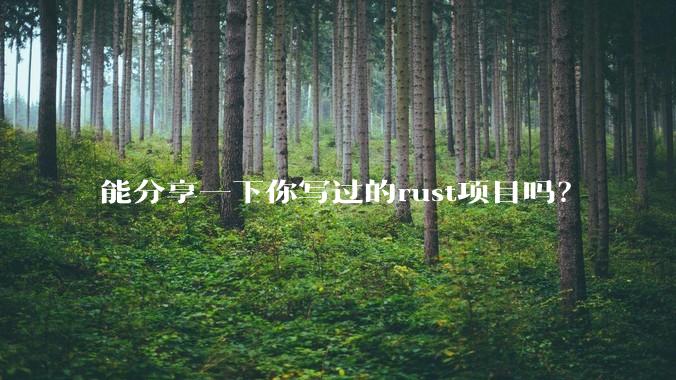 能分享一下你写过的rust项目吗？