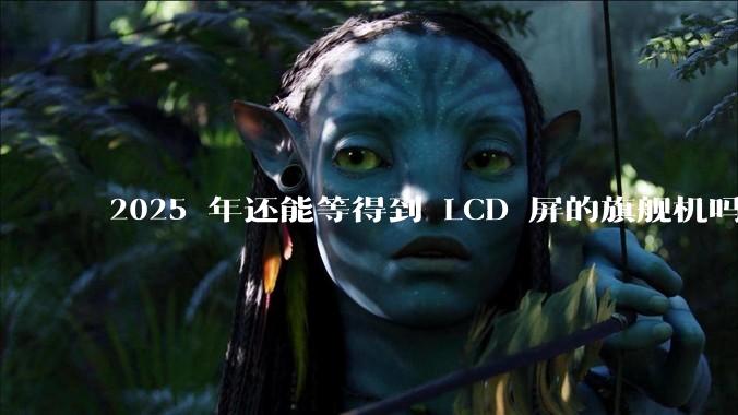 2025 年还能等得到 LCD 屏的旗舰机吗？