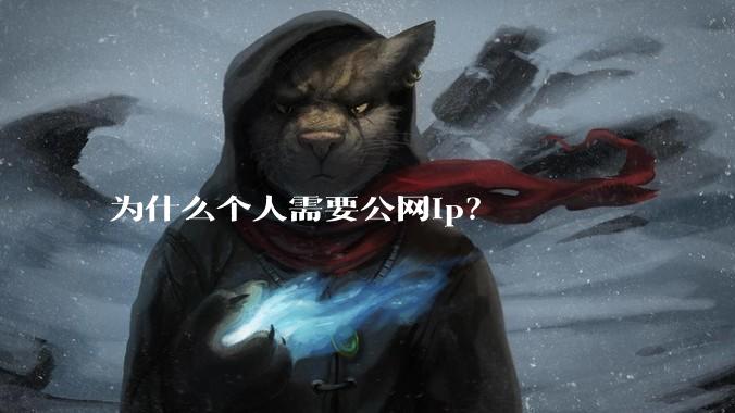 为什么个人需要公网ip？