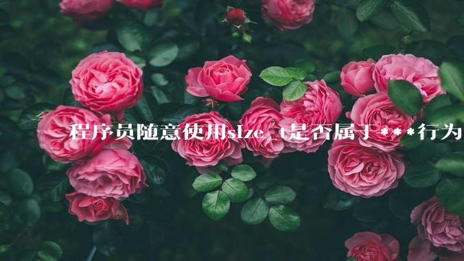 程序员随意使用size_t是否属于***行为？