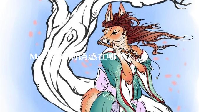 MacBook的诱惑在哪里？