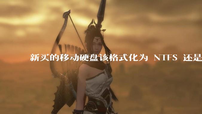 新买的移动硬盘该格式化为 NTFS 还是 exFAT？