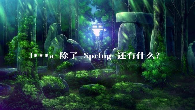 J***a 除了 Spring 还有什么？